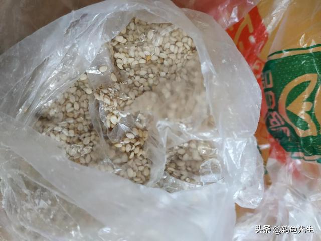 辟谣，饲养黄粉虫必须用麦麸吗？不，没有麸皮也一样能养好面包虫