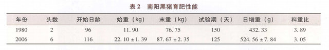 南阳黑猪