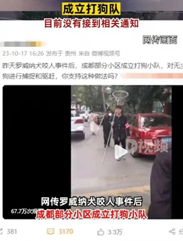 成都部分小区成立打狗队，爱狗人士坐不住了，称不能拿无辜狗泄愤