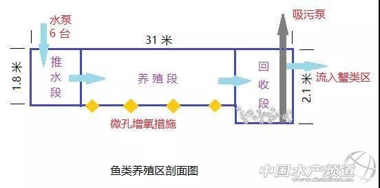 1个模式可养4个品种！一文了解这个高收益、节能且环保的模式