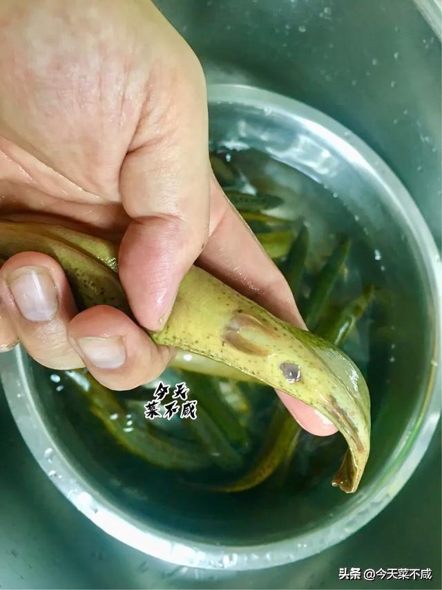 酱焖大泥鳅，东北厨师教你这样做，用这酱，味好鲜嫩，个个都好吃