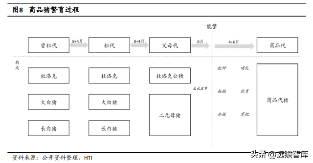 深耕养殖三十余载，温氏股份：摆脱困境，养殖龙头再次起航