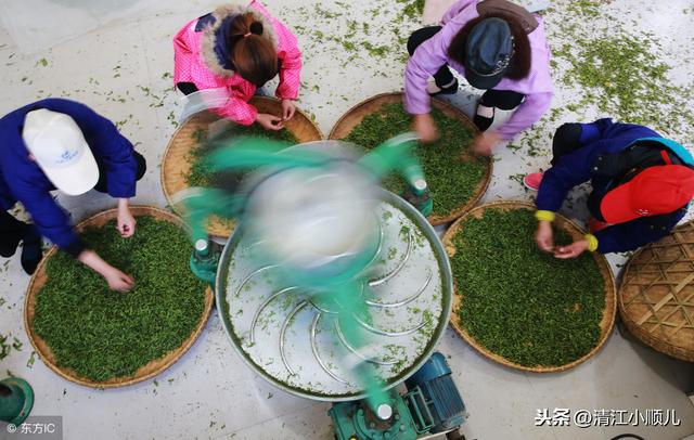 绿茶初加工技术要领（实用）