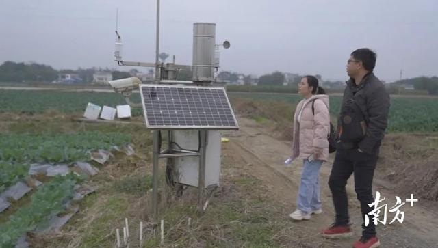 视频丨“天寒地冻，可千万别让脱贫户家的鸡饿坏了”，韶关多地“动起来”力助农作物畜禽养殖“温暖”过冬