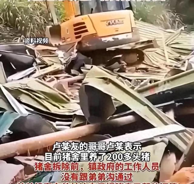 福建城管强拆40万猪舍，3人中枪，错拆揭晓