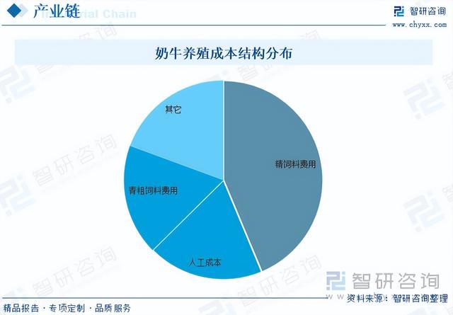 【智研咨询】2023年中国奶牛养殖行业市场研究报告