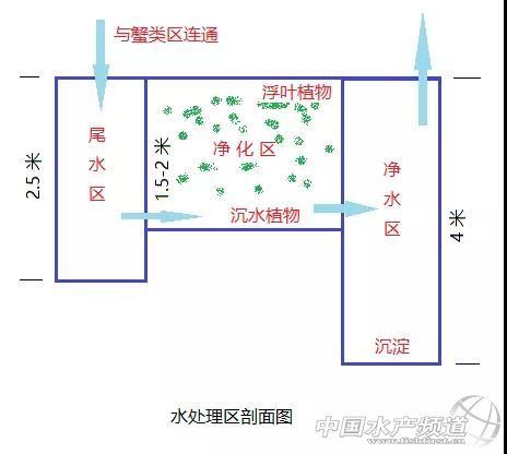 1个模式可养4个品种！一文了解这个高收益、节能且环保的模式