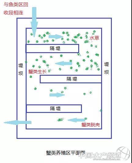 1个模式可养4个品种！一文了解这个高收益、节能且环保的模式