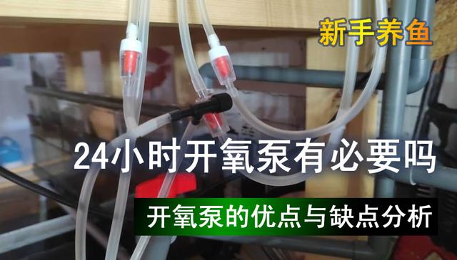 24小时不间断开氧泵有没有必要，为什么很多人建议开