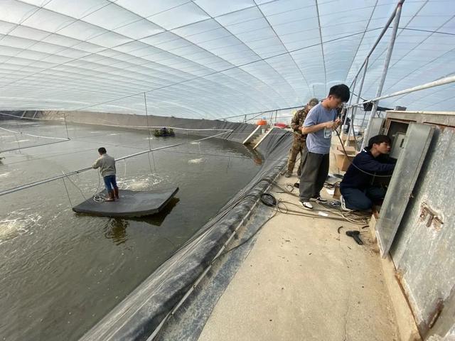 “养虾难，虾难养”？未必！智能化方案正达对虾养殖基地