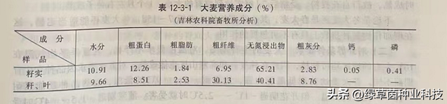 大麦适合哪些地区种植，营养价值如何呢？