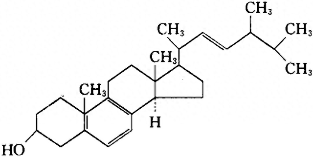 养殖泥鳅时，如何提高其存活率？水质净化和浮床覆盖一样都不能少