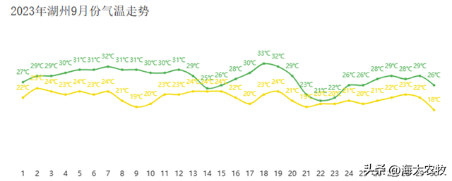 前期投喂低，黄金生长期短？青鱼养殖高效益怎么保障？