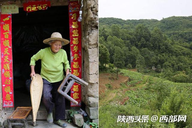 旬阳76岁奶奶独居深山 种十亩地养一头猪过平静生活