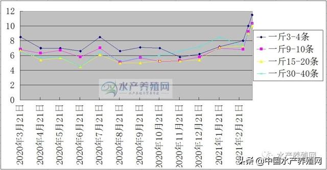 去年最低不到4块，现在暴涨到11块多！全国大范围缺货收购商到处找鱼，泥鳅价格还要涨？