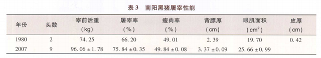 南阳黑猪