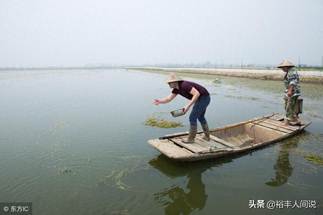 北漂夫妻放弃高薪养稀罕物，带火当地妇女，每人可日赚千元