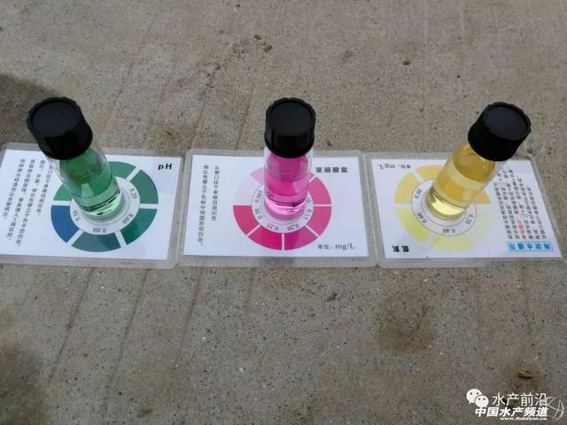 氨氮、亚硝酸盐偏高对虾蟹苗的具体危害