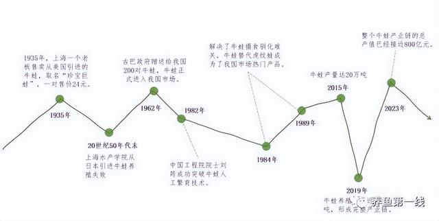 牛蛙岂能一禁了之？听取蛙声一片！牛蛙养殖的绿色转型！