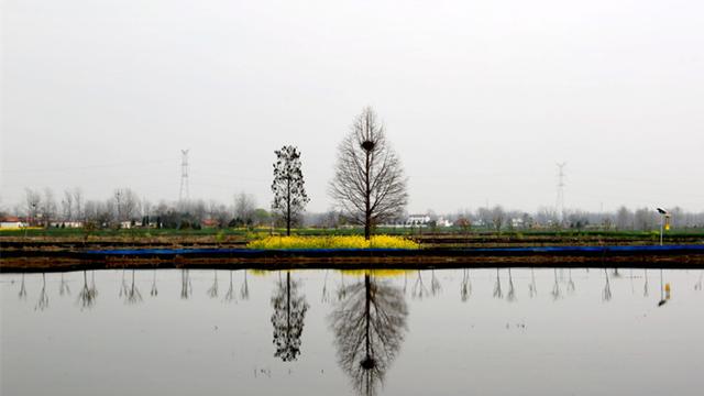 小龙虾激活潢川乡村振兴“一池春水”