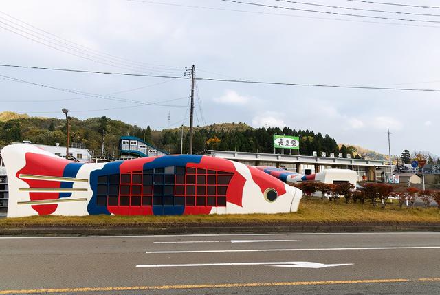 这么美的日本锦鲤，源自新潟发祥地的一颗宝石，锦鲤