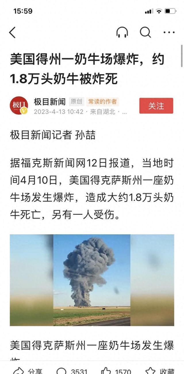 惊爆！美国养牛场遭遇爆炸18,000头牛惨遭毁灭！