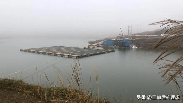 悬浮养殖与传统养殖方式的区别，和对养殖业发展前景产生哪些影响