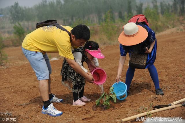 案例｜免费农场如何玩，解锁5大盈利新思路