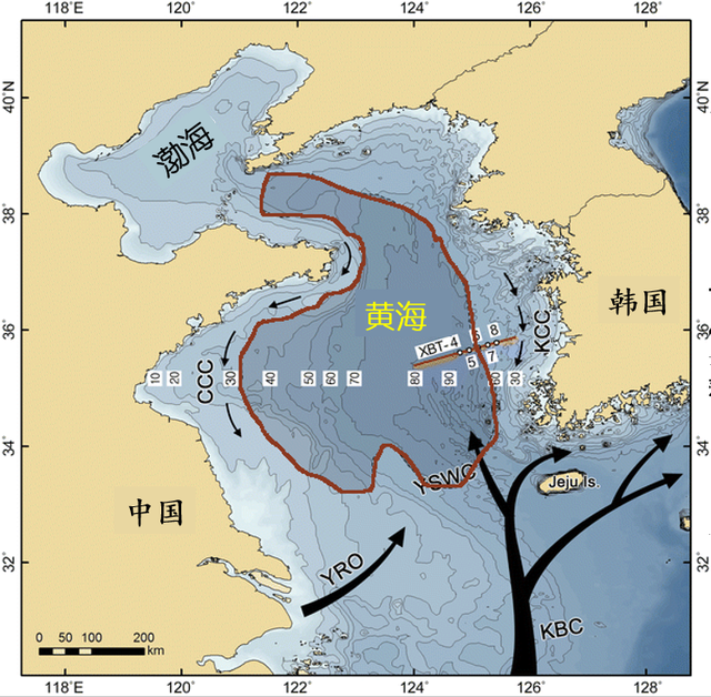 黄海的“财产”：5000亿方冷水团，国产三文鱼“上位”？