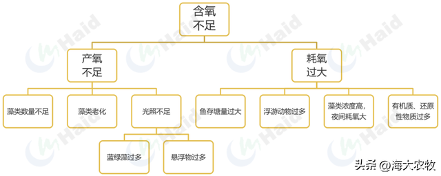 都怕泛塘，可养殖风险咋预防？