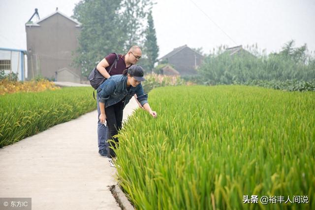 北漂夫妻放弃高薪养稀罕物，带火当地妇女，每人可日赚千元