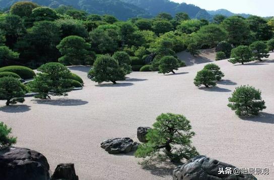 南北方庭院如何做植物选择，让你的庭院四季有景