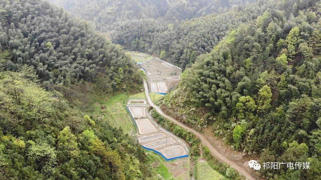 湖南永州祁阳：“外来户”杨昌和带领当地百姓靠养殖青蛙致富