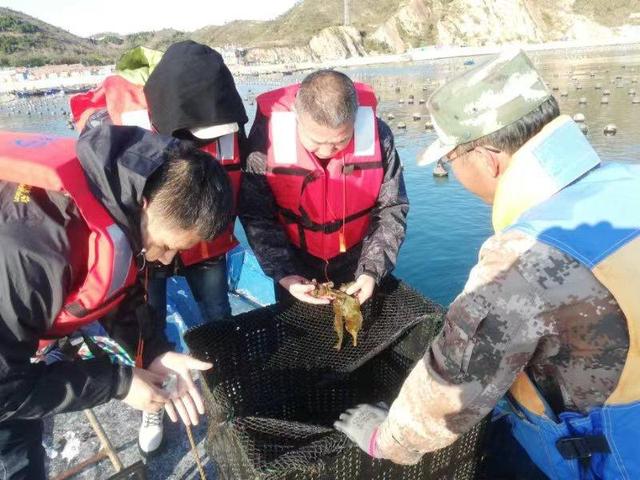 长岛海洋经济促进中心实地调研生态渔业养殖