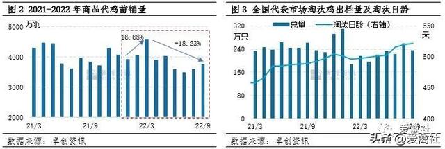 2023年一季度蛋鸡存栏量或低位缓慢增长