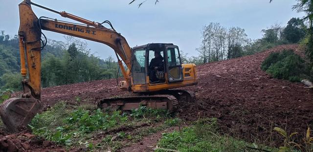 乡村振兴土地整理及中药何首乌的种植技术分享