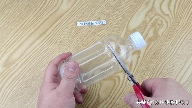 把香菜放进塑料瓶里，真是厉害了，多亏卖菜阿姨教我方法，涨知识