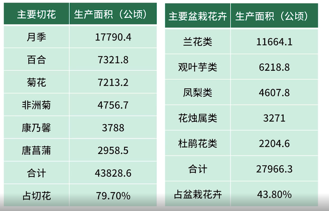 天天学农深度分析中国花卉行业现状，这几类花卉很有发展前景