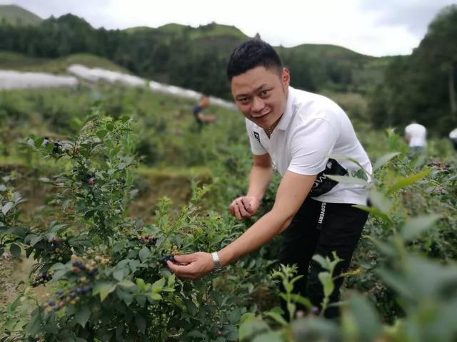 宁德90后合作社踏出致富路！让希望之花盛开在田野上