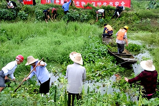 有机农业种植技术的方法，它有什么措施？