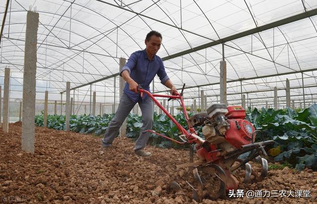 辣椒种植如何追肥花多果多产量高？这三个时期追肥很重要，要重视