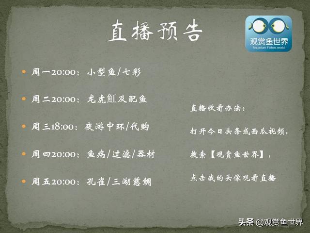 10种常用的阴性水草，日常造景都能用到