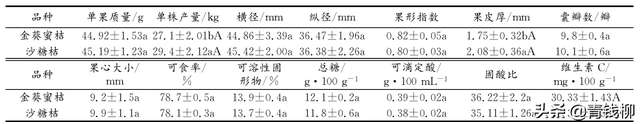 基金项目：“金葵沙糖桔”在广西南宁的引种表现及栽培技术要点