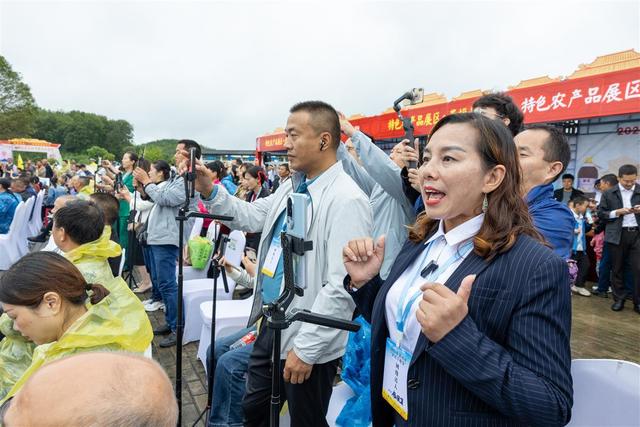 在大大的田地里面挖呀挖呀挖！湖北最大红薯基地迎来采收季，丰收节当天喜签2亿元采购大单