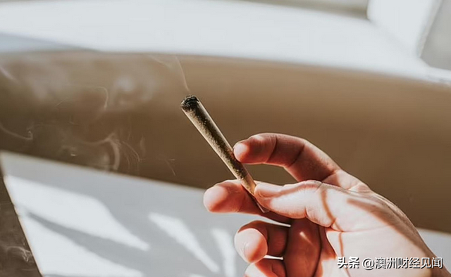 绿党提议大麻合法化！允许澳人在家中种植，政府可增收数百亿