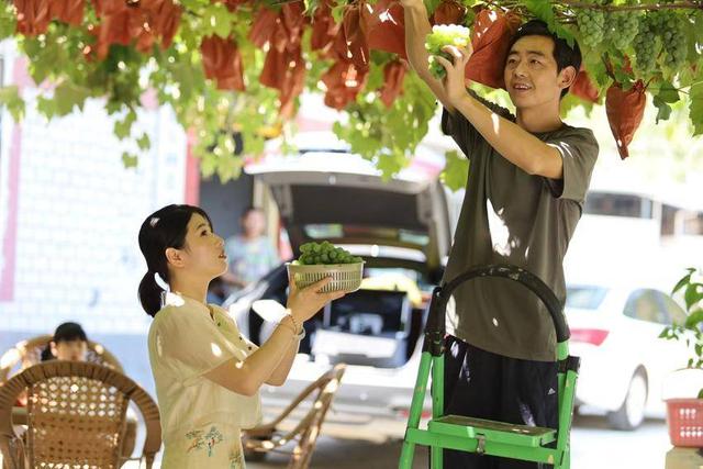 信陵镇荷花村：葡萄大丰收