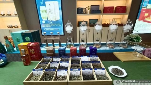 横州市：“高质、高效、高科技”发展茉莉花产业