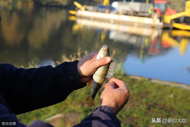 浮萍草袭击钓点无法钓鱼？这个不起眼的东西，轻松助你解决困扰