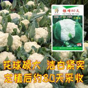 花菜种植时间(6到8月高温季节，花菜种植难度大这个花菜品种，丰产又抗病)