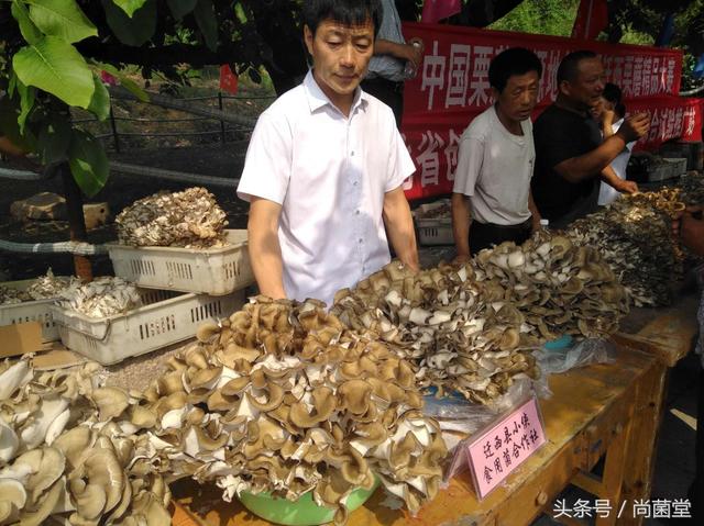 在迁西县有一种花叫灰树花，你见到过吗？一起来认识一下它吧